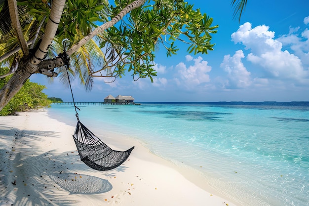 Wunderschöner Sonnenuntergang am Strand mit Palmen VektorillustrationTropischer Strand mit Palmbäumen