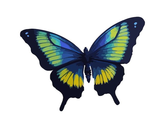 Wunderschöner tropischer Schmetterling in Aquarell gemalt. Sommerinsektenillustration für Karten und Hochzeit
