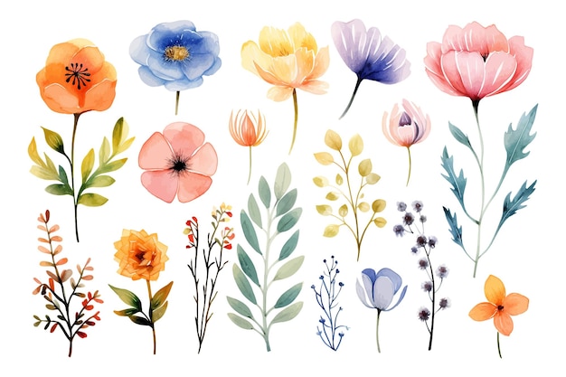 Vektor wunderschönes satz von blumen und blättern in aquarell und blütenelemente in aquarell.