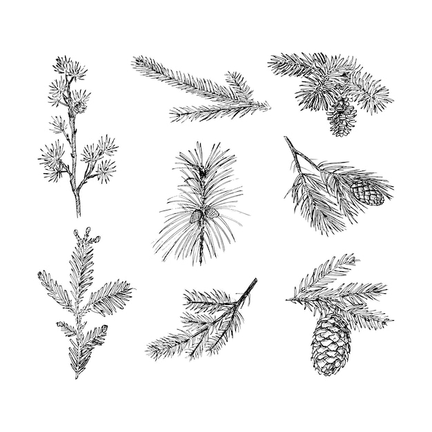 XABranches Illustrationen im Art Ink-Stil