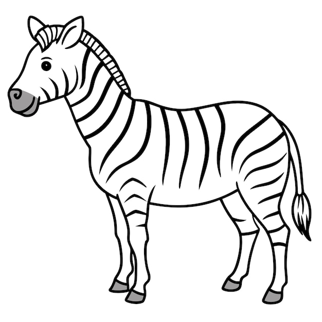 Zebra-Farbseite Tierumriss-Illustration