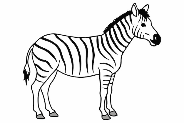 Zebra-Linienkunst