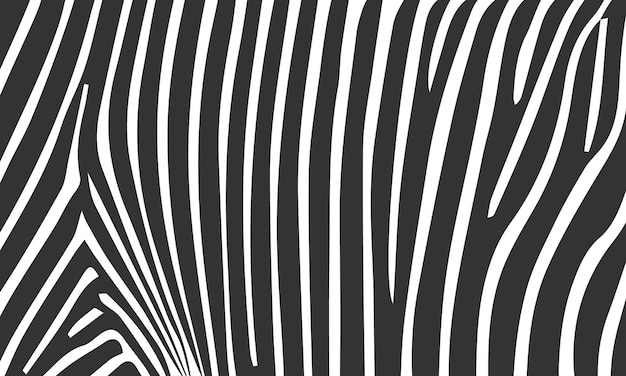 Zebradruck-Textur