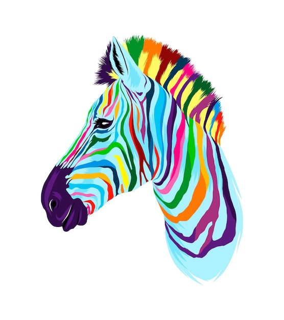 Zebrakopfporträt aus bunten farben spritzer von aquarellfarbener zeichnung realistisch