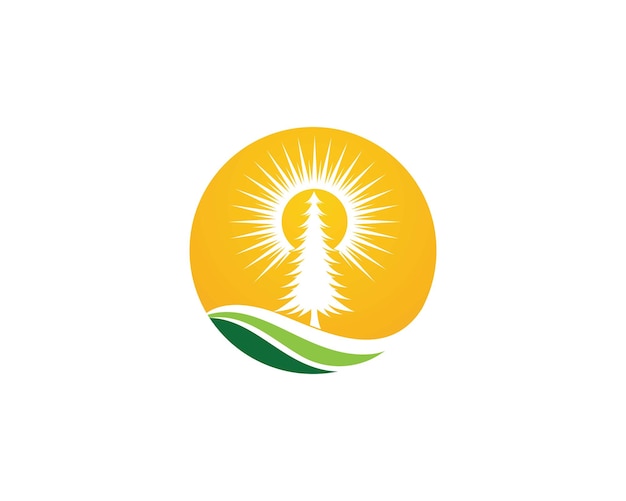 Zedernbaum-logo-vorlage