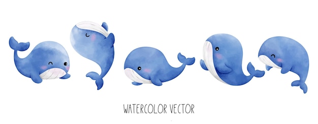 Vektor zeichnen sie eine vektorillustrationssammlung baby-blauwale für kinder aquarellmalerei