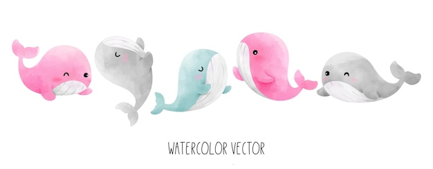 Vektor zeichnen sie eine vektorillustrationssammlung baby-pastelwal für kinder aquarellmalerei