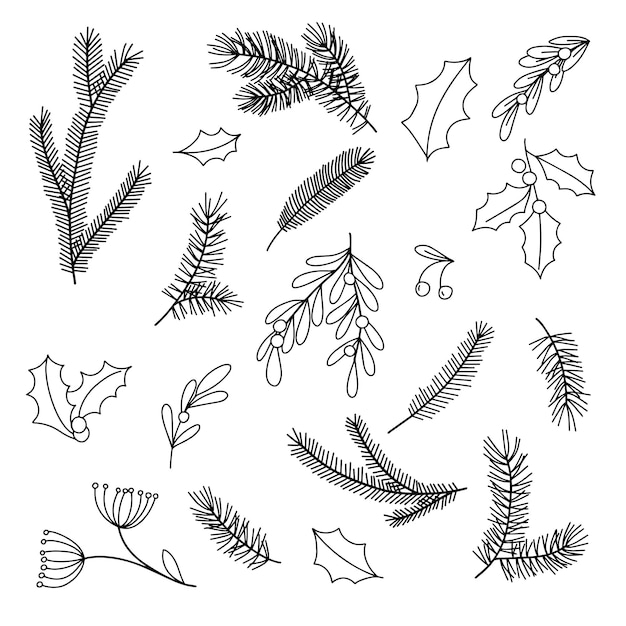 Vektor zeichnung im stil von doodle-zweigen von tannen-tannenblättern und beeren von mistel-stechpalme