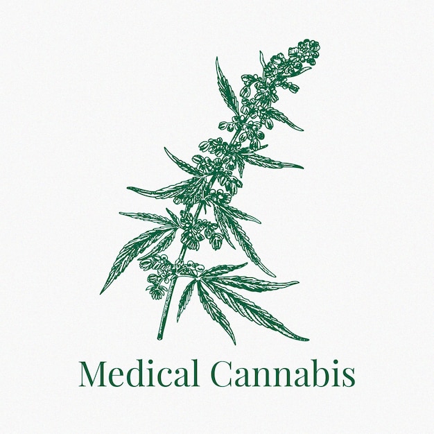 Zeichnung von medizinischem Cannabis
