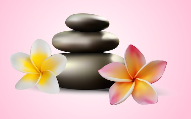 Zen stones und blumen vektor