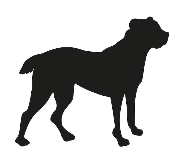 Vektor zentralasiatischer schäferhund alabai schwarze silhouette eines stehenden hundes