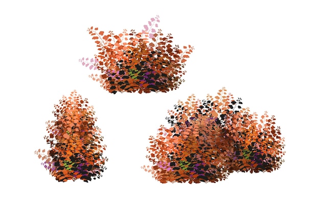 Vektor zierpflanze in form einer hecke. realistischer gartenstrauch, saisonaler strauch, buchsbaum, baum.
