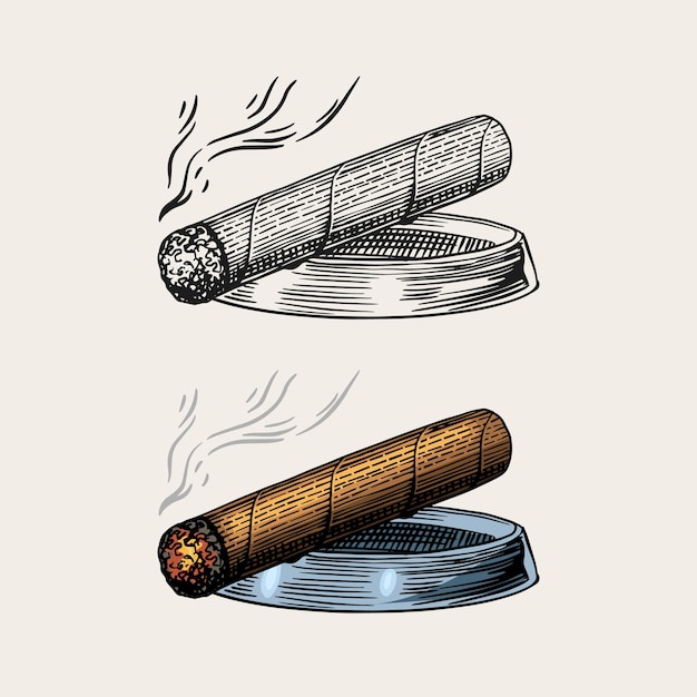 Vektor zigarre oder rauch