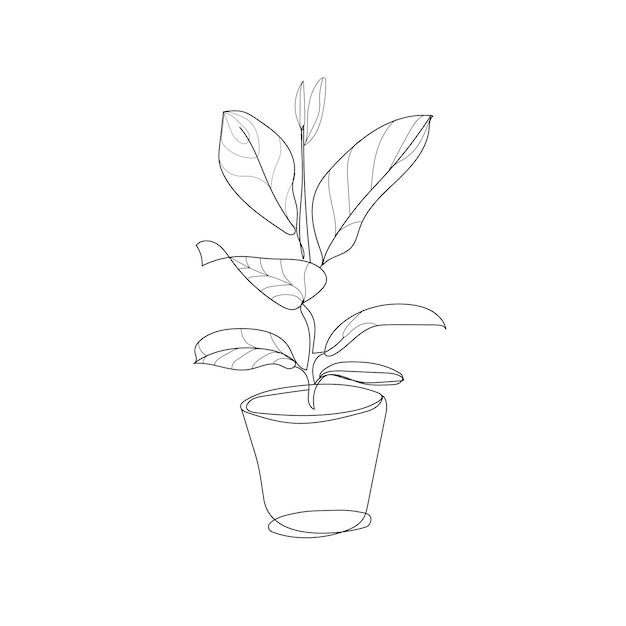 Zimmerpflanze in einem Topf Handzeichnung Illustration Umriss styleVector lineare Darstellung eines Ficus