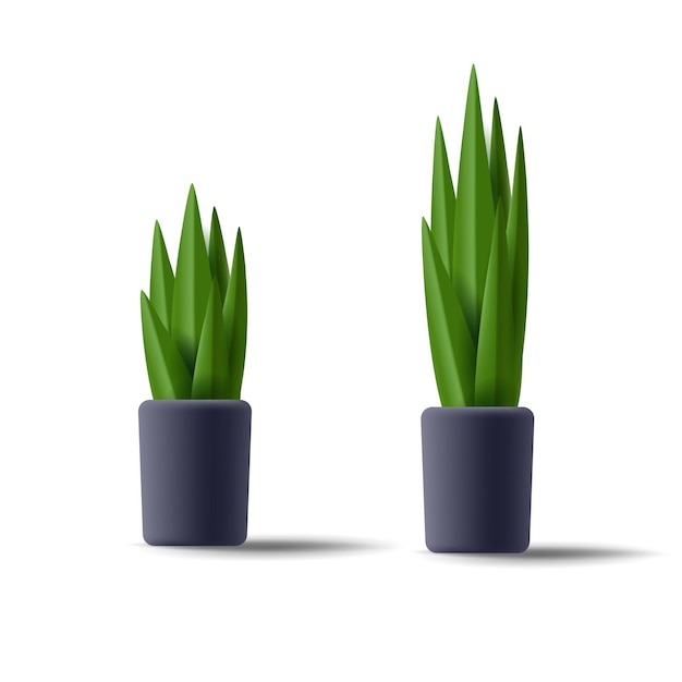 Zimmerpflanze schwarzer Topf mit grünen Blättern länger und kürzer Größe isoliert 3D-Illustration