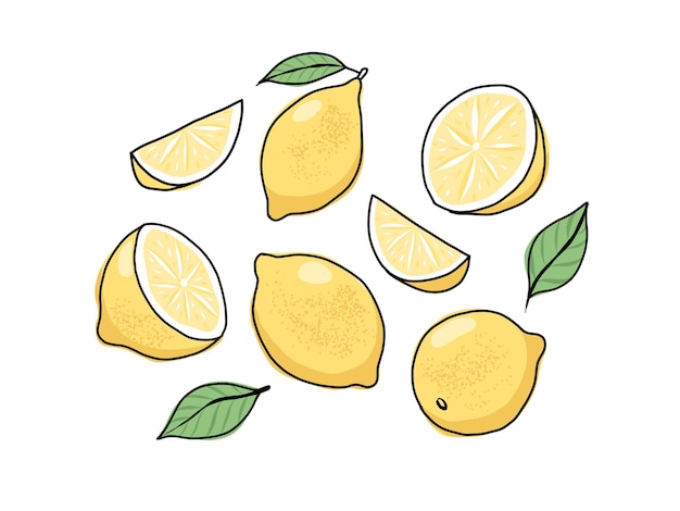Zitrone handgezeichnetes Set Ganze und in Scheiben geschnittene Früchte Vektorillustration im Doodle-Stil