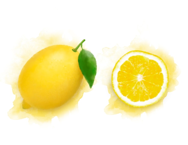 Zitronen-aquarell