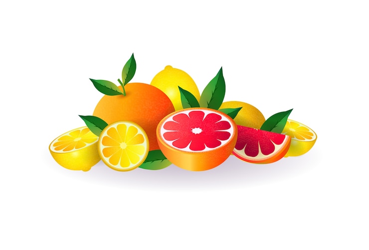 Vektor zitronen-grapefruit-frucht auf weißem hintergrund