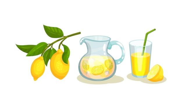 Zitronensaft im Glas mit Stroh und erfrischendes Getränk in einem Glas Vektor-Set