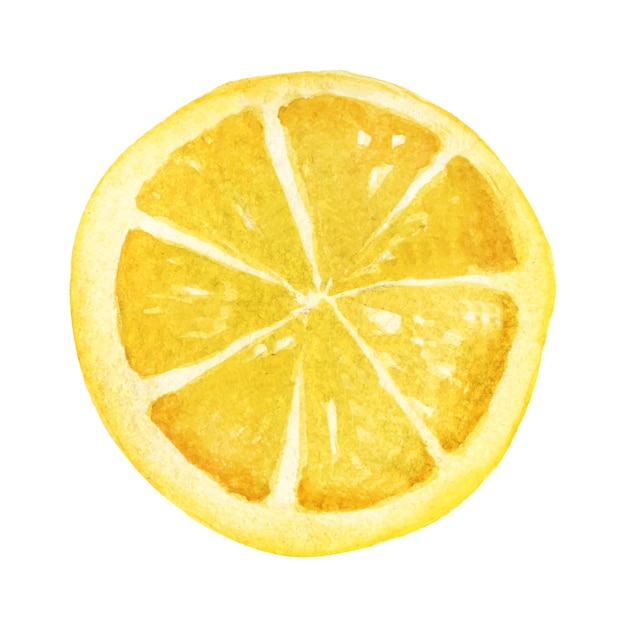 Zitronenscheibe in Aquarell. Vektorelement