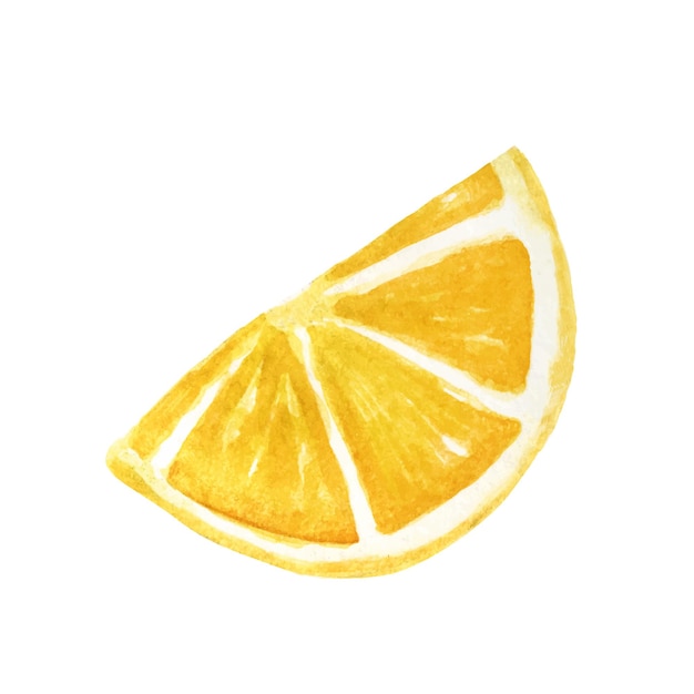 Zitronenscheibe in Aquarell. Vektorelement
