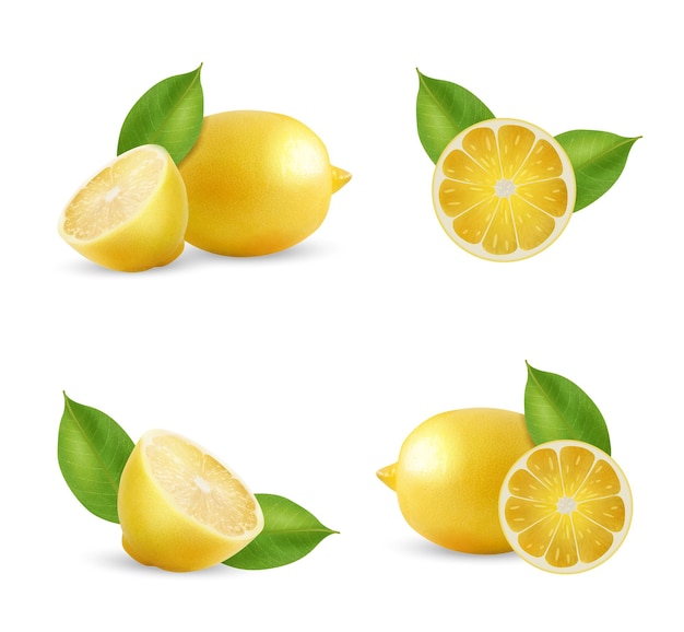 Zitronenzusammensetzung mit grünen Blättern Vektorillustration