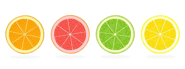 Zitrusfruchtscheiben aus orangen-grapefruit-limette und zitrone isoliert auf weißem hintergrund