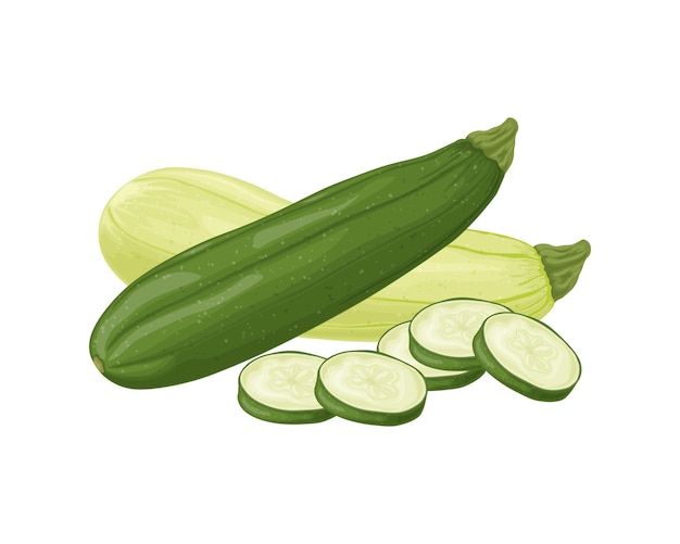 Zucchini Bild von geschnittenen Zucchini Vegetarisches Gemüse aus dem Garten Farmgemüse Vektor-Illustration isoliert auf weißem Hintergrund