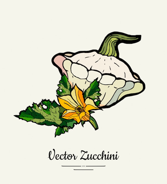 Zucchini handgezeichneter illustrationssatz.