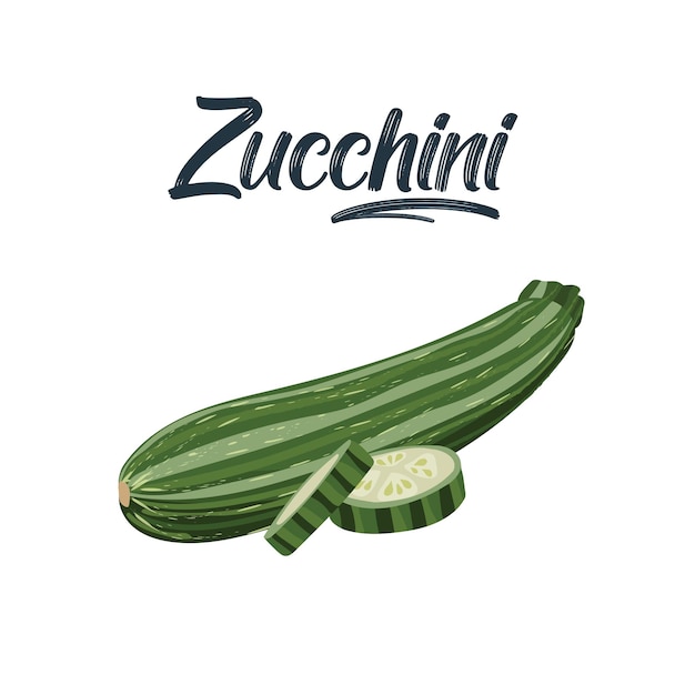 Zucchini ist frisch squash ganze hälfte mit samen und scheibe im querschnittgemüsezutat das element des verpackungsdesigns für lebensmittelrezepte isoliert auf weißem vektorillustrations-flachstil