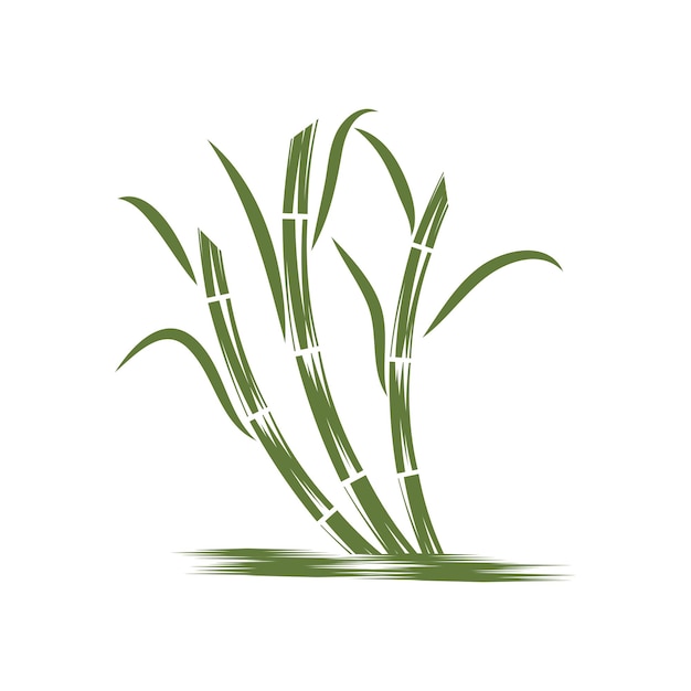 Vektor zuckerrohr logo vorlage vektor symbol natur