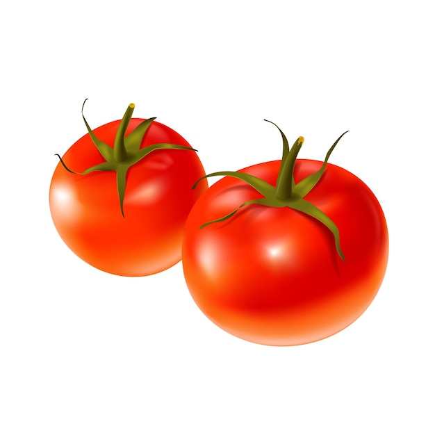 Zusammensetzung aus zwei roten Tomaten. Realistische 3D-Illustration des isolierten Vektors