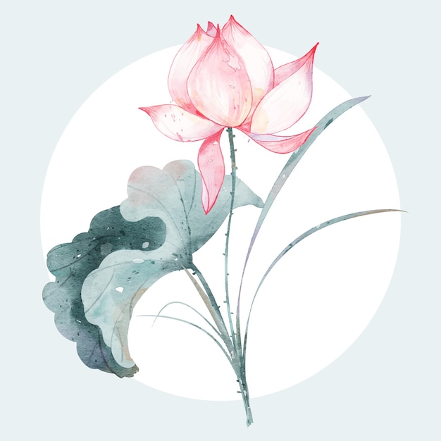 Zusammensetzung der rosa lotosblumenaquarell-vektorillustration