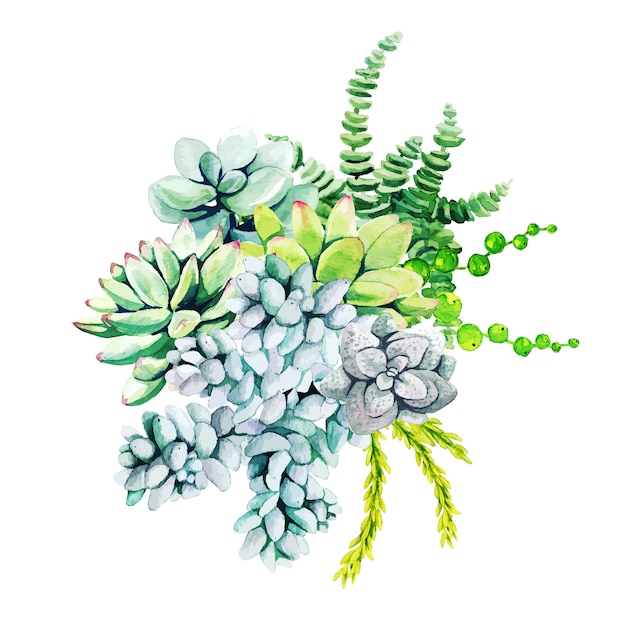 Zusammensetzung von aquarellkaktuspflanzen und sukkulenten