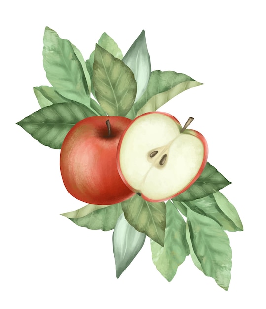 Vektor zusammensetzung von reifen roten äpfeln und apfelbaumblättern