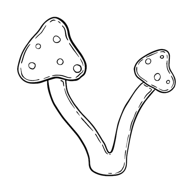 Vektor zwei amanita-pilze mit doodle-flecken linear