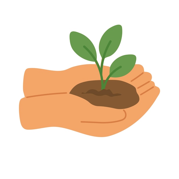 Zwei Hände halten sanft eine junge grüne Pflanze, ein Symbol für Pflege, Wachstum und Naturschutz.