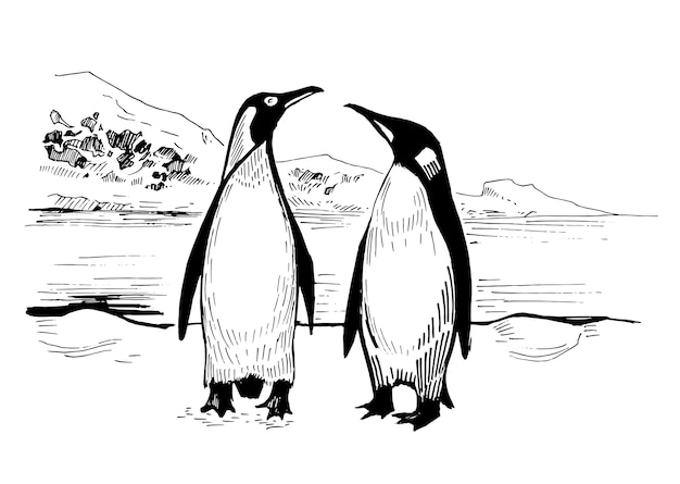Vektor zwei pinguine in der arktis. hand gezeichnete illustration.