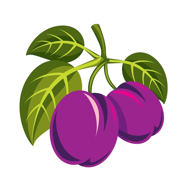 Zwei purpurrote einfache vektorpflaumen mit grünen blättern, reife süße fruchtillustration. gesunde und biologische lebensmittel, symbol der erntezeit.