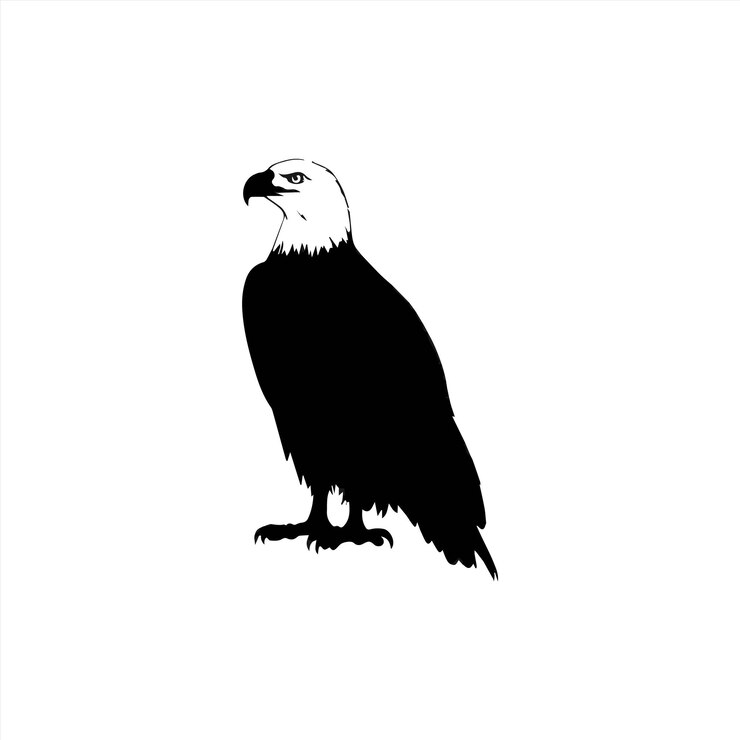 Vektor a bird that is black and white