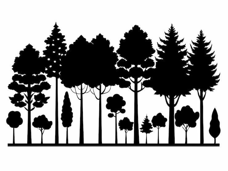 Vektor a black and white drawing of trees with a white background that says forest