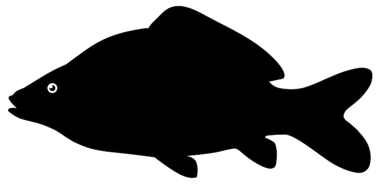 Vektor a black silhouette of a fish with a large tail.