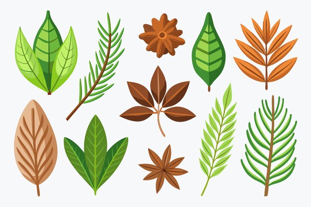 a collection of different plants and flowers