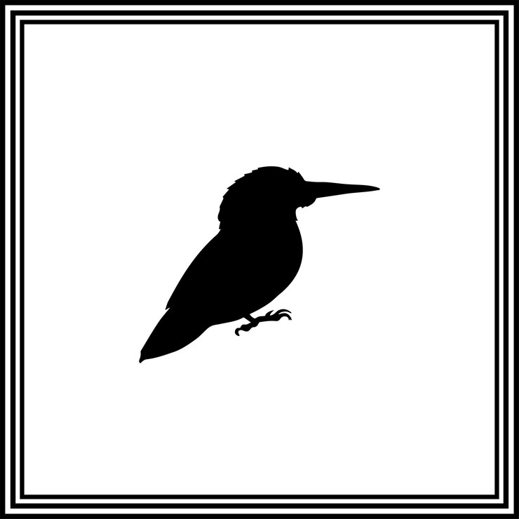 Vektor a cute kingfisher bird silhouette illustration