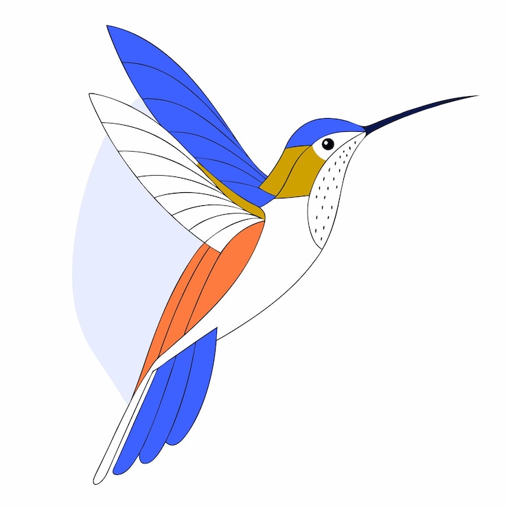 Vektor a drawing of a bird that has a blue and orange wing