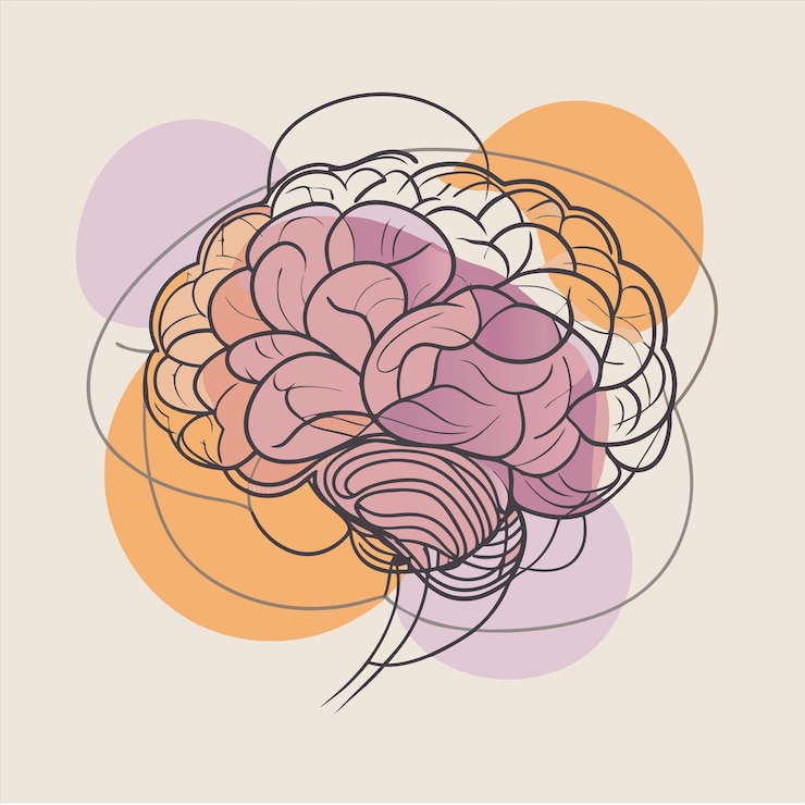 Vektor a drawing of a brain with a multicolored pattern
