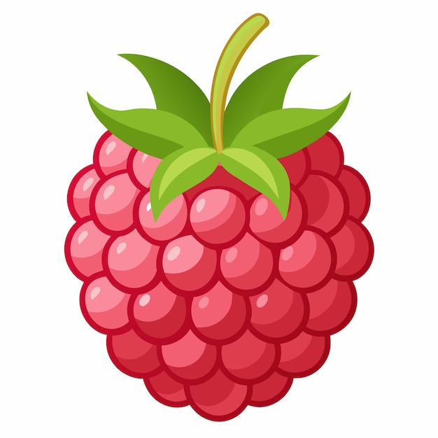 a red raspberry vector illustration