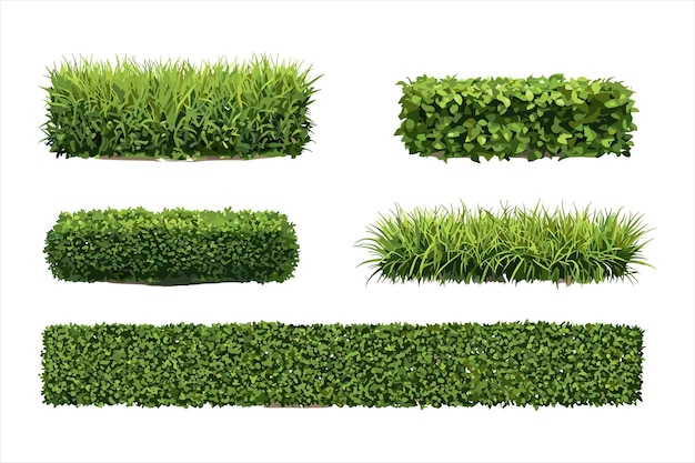 a row of green grass and one is labeled as well as the other one