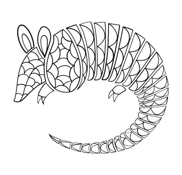 Armadillo Illustration in Hand-Drawn Line Art Style