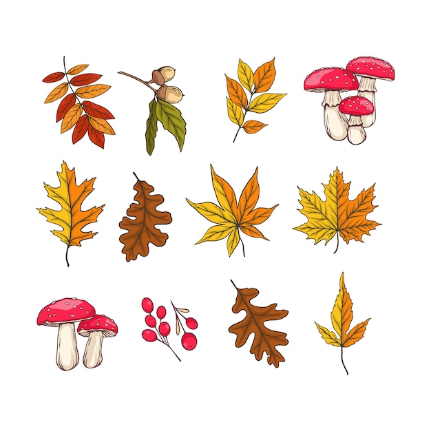 autumn design with autumn leaves mushrooms and berries colored isolated elements